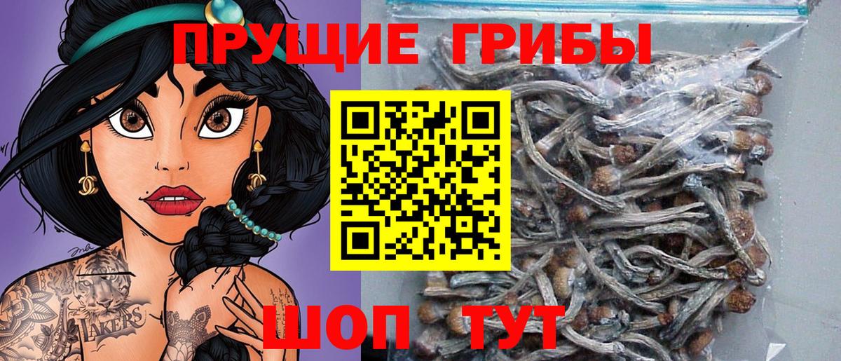 Псилоцибиновые грибы ЛСД Кисловодск