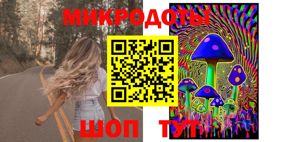 Псилоцибиновые грибы Psilocybine cubensis  Вход с VPN  Кисловодск 